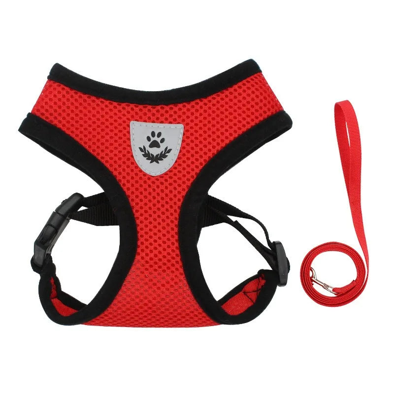 Soft Kitten Harness & Leash – No More Escapes, Just Safe Adventures!