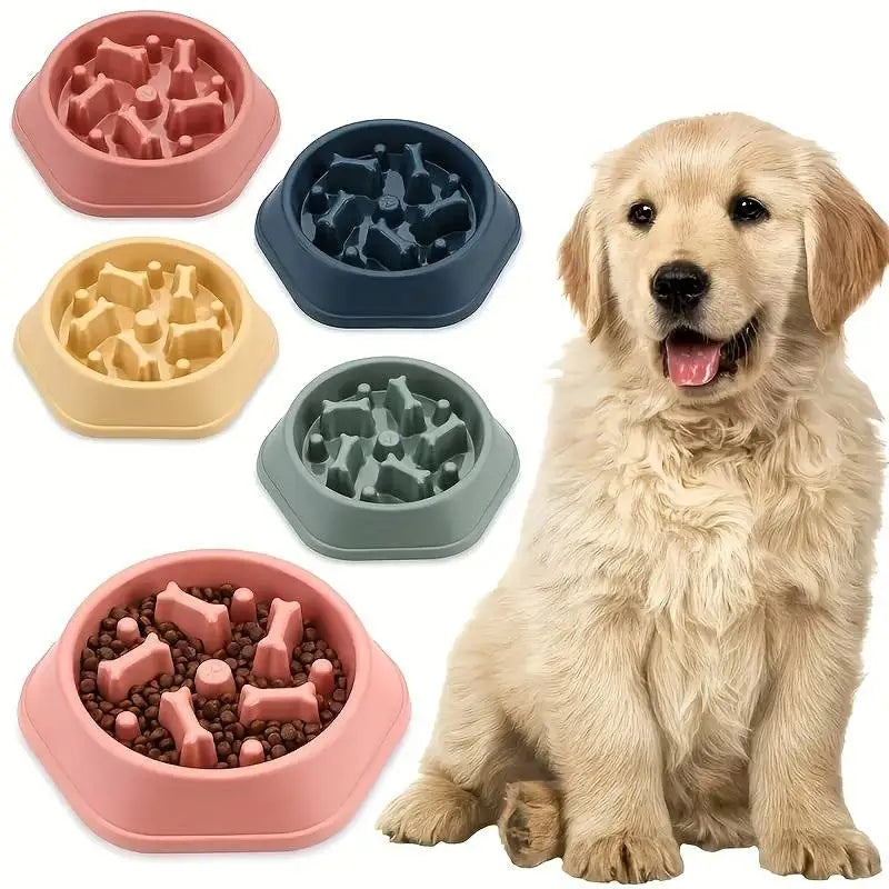 Comedero lento para perros