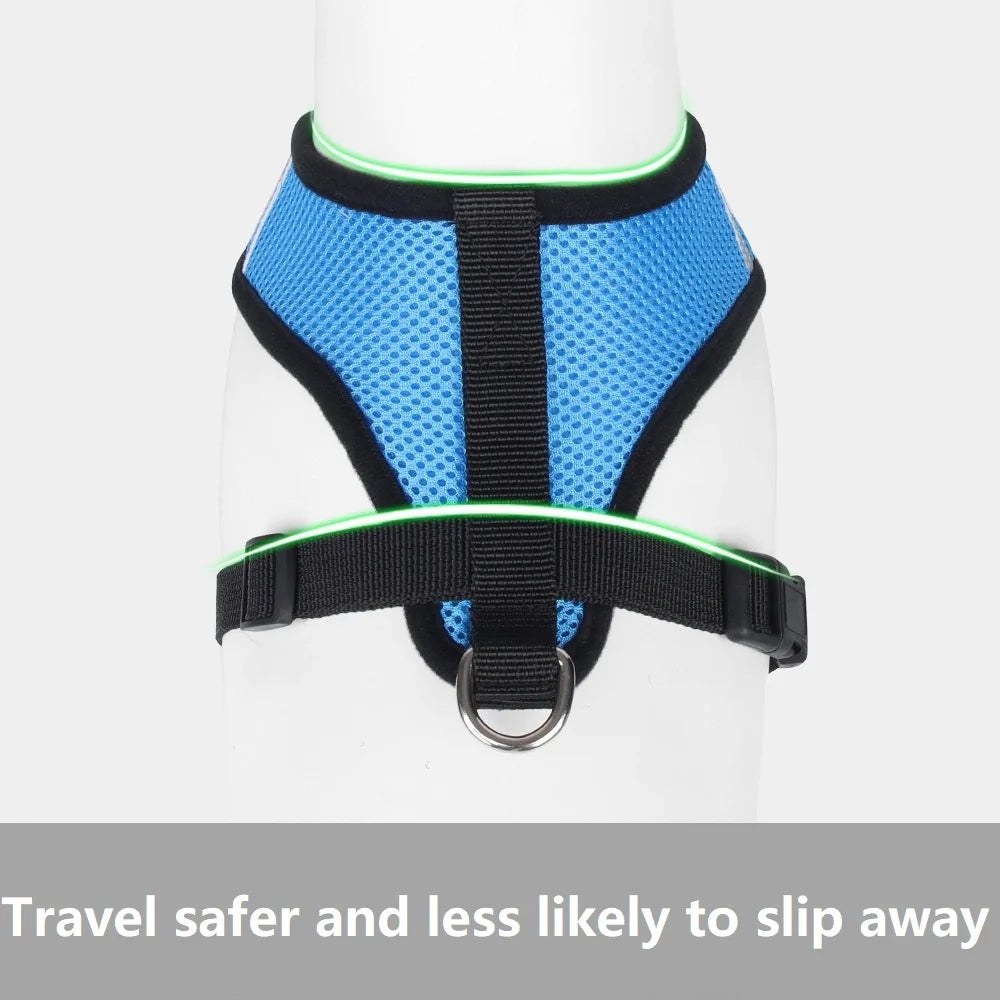 Soft Kitten Harness & Leash – No More Escapes, Just Safe Adventures!