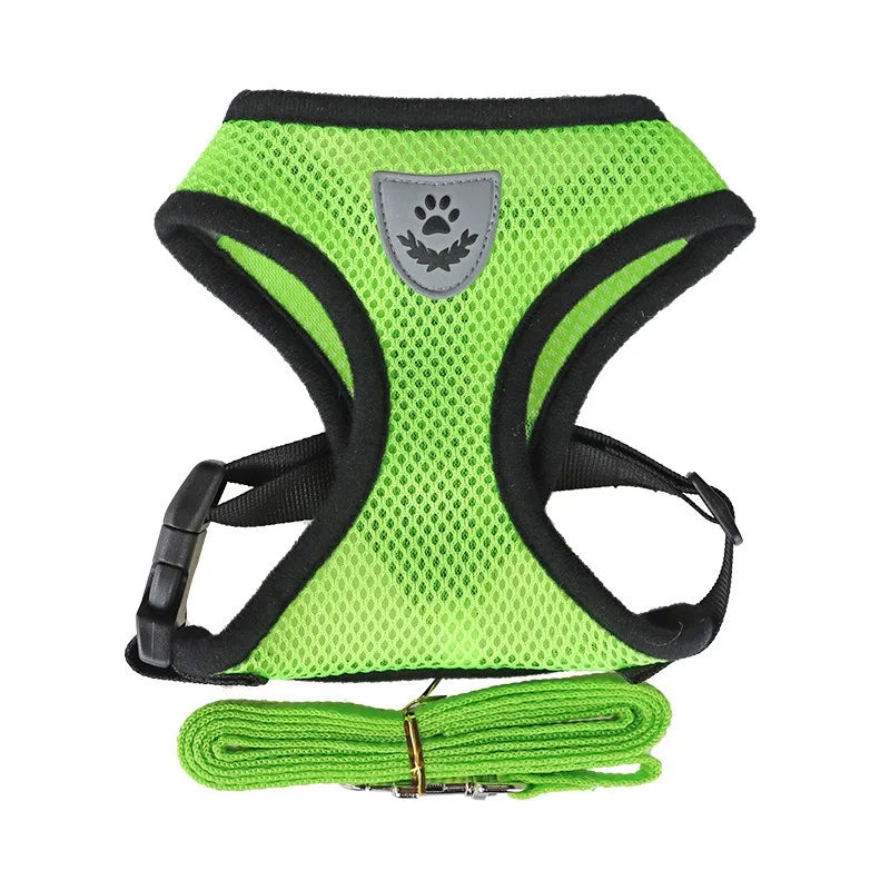 Soft Kitten Harness & Leash – No More Escapes, Just Safe Adventures!