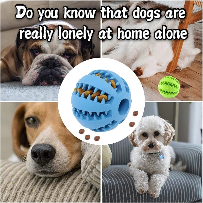 Interactive Chew and Treat Ball