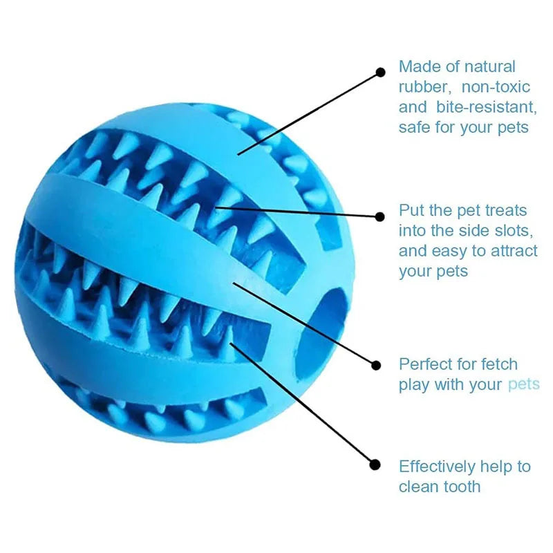 Interactive Chew and Treat Ball