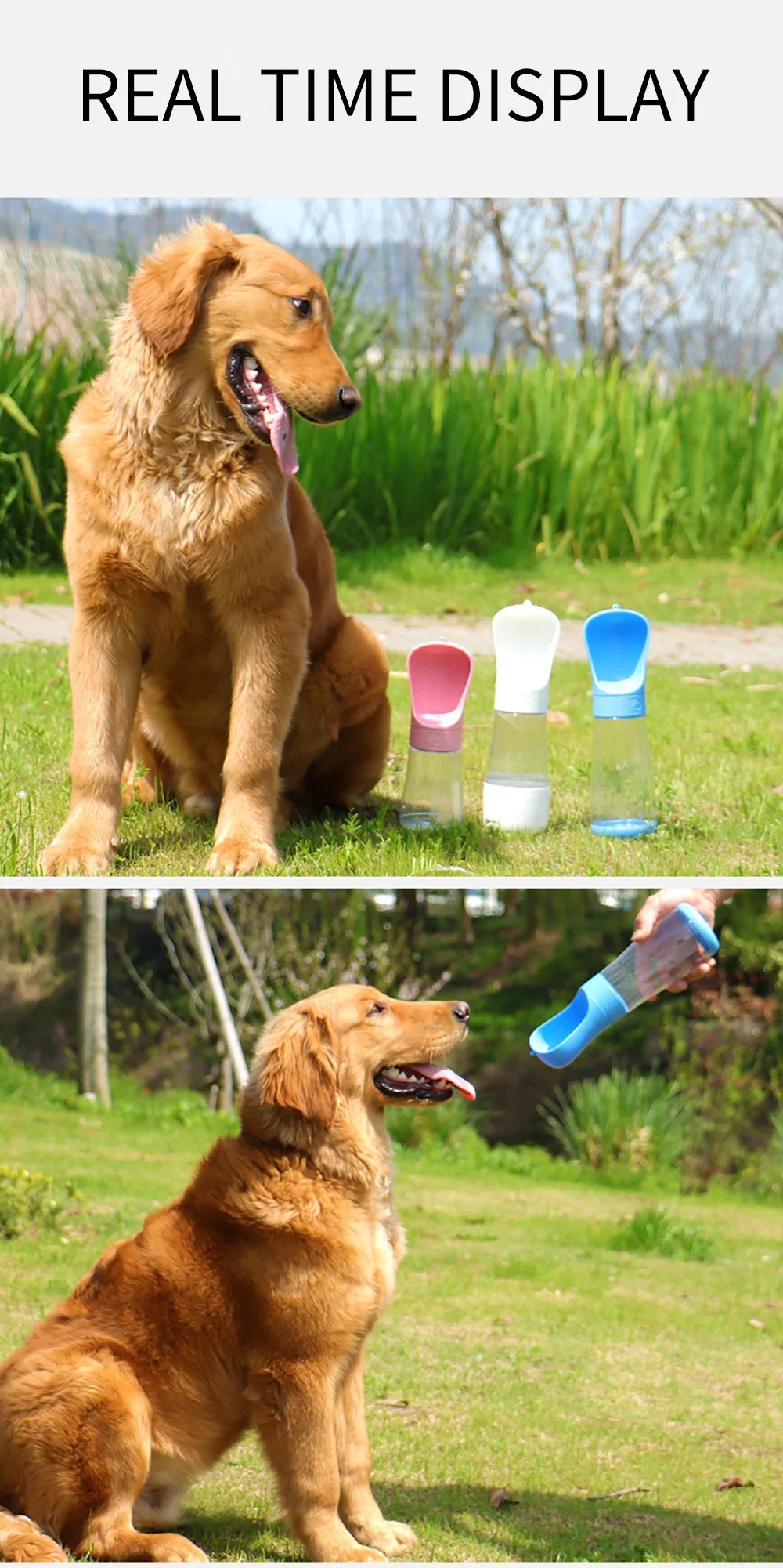Portable Water Bottle
