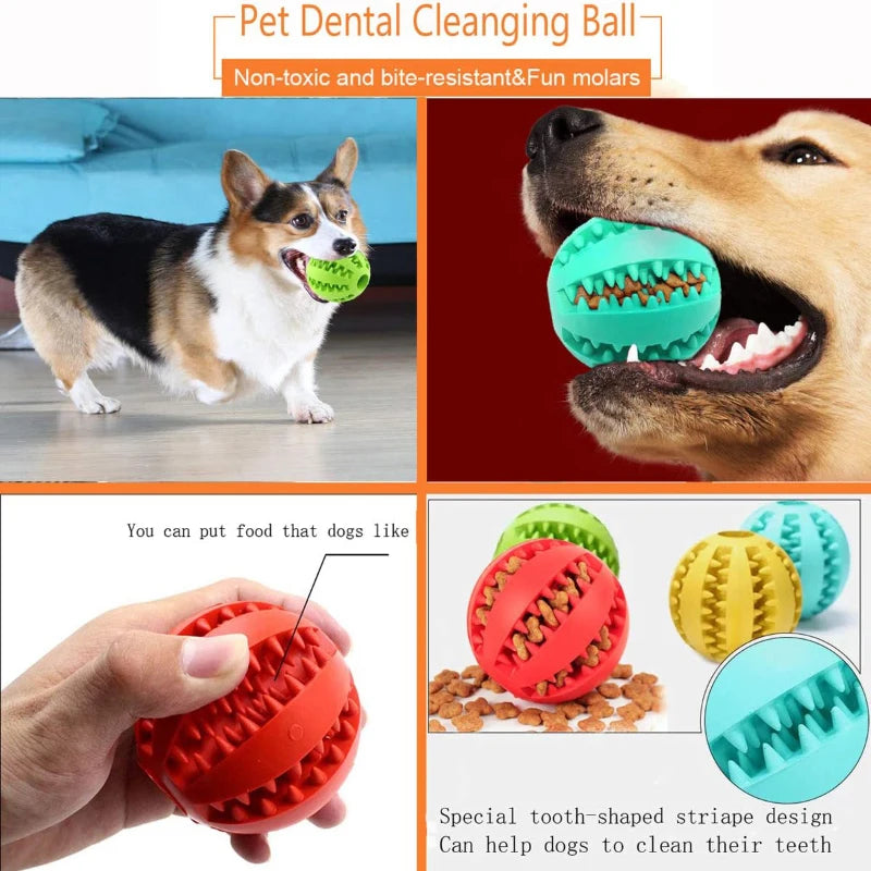 Interactive Chew and Treat Ball