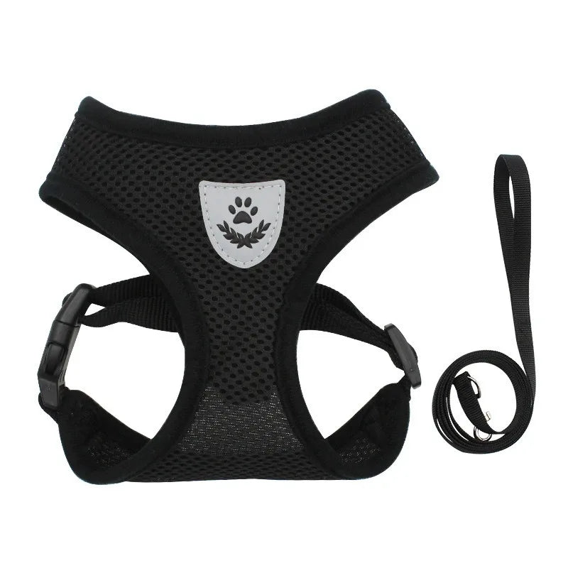 Soft Kitten Harness & Leash – No More Escapes, Just Safe Adventures!