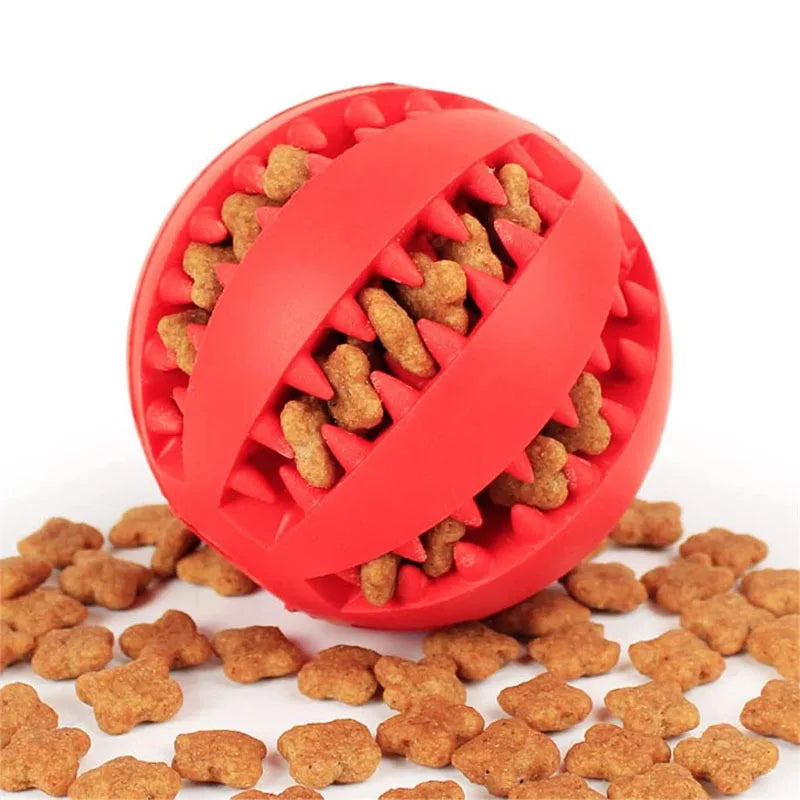 Interactive Chew and Treat Ball