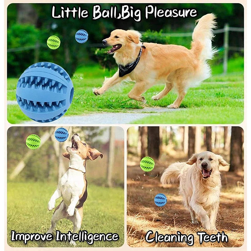 Interactive Chew and Treat Ball
