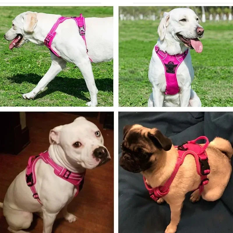 Chest Strap Dog Harness