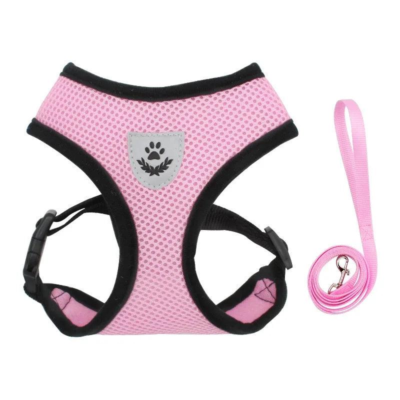 Soft Kitten Harness & Leash – No More Escapes, Just Safe Adventures!