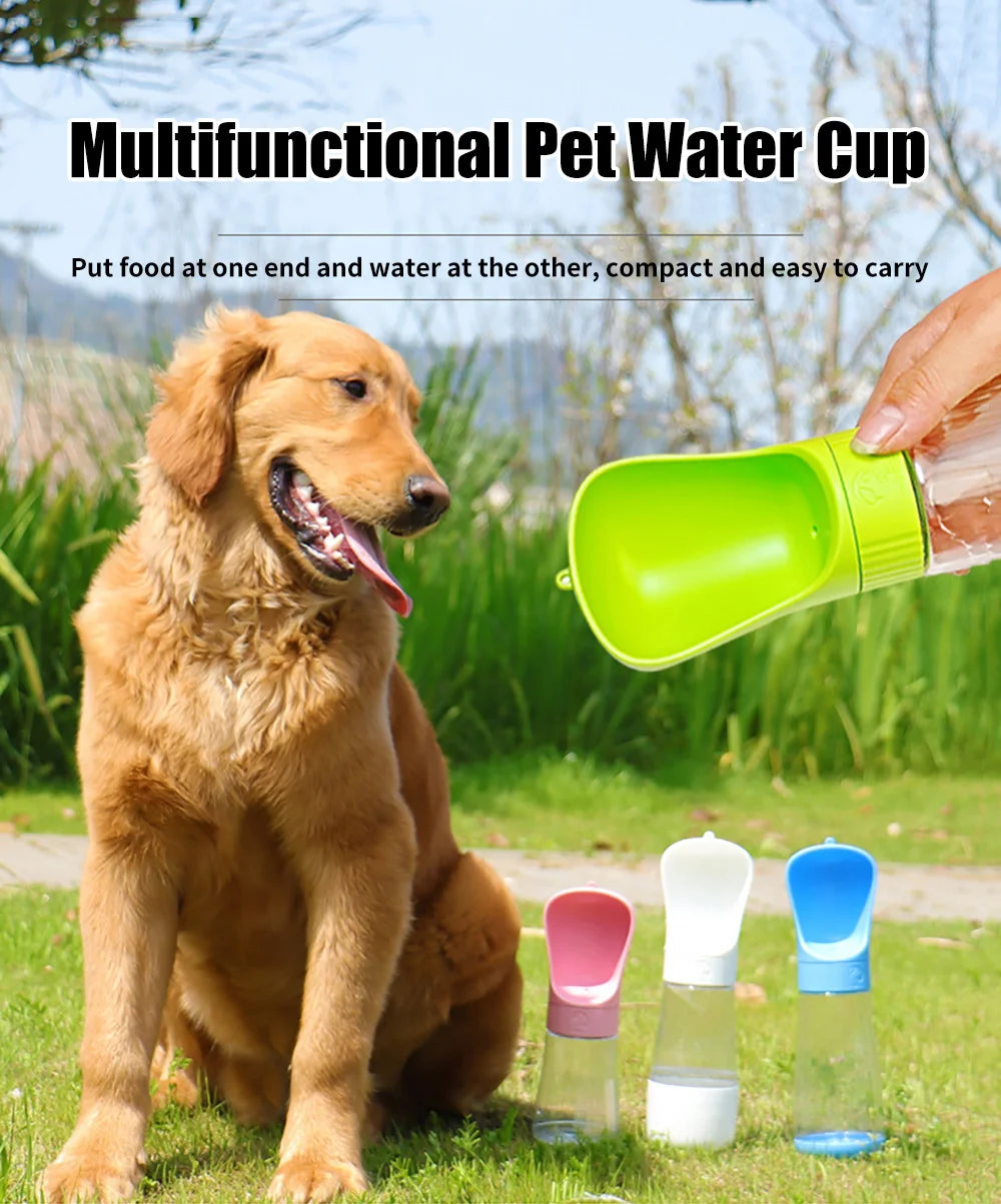 Portable Water Bottle