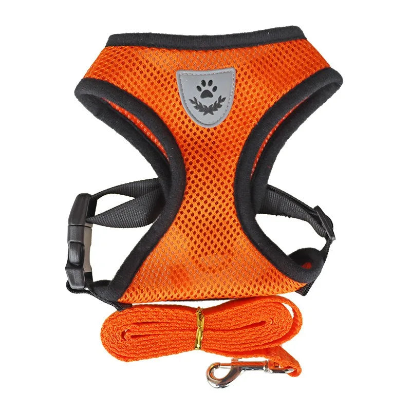 Soft Kitten Harness & Leash – No More Escapes, Just Safe Adventures!