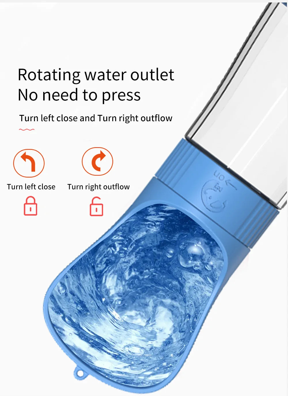 Portable Water Bottle