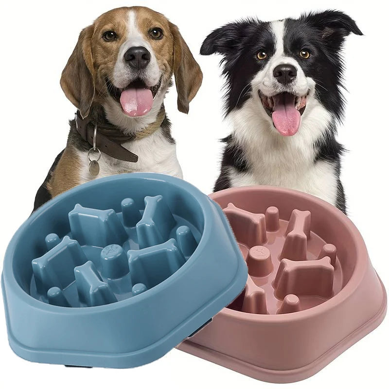 Comedero lento para perros
