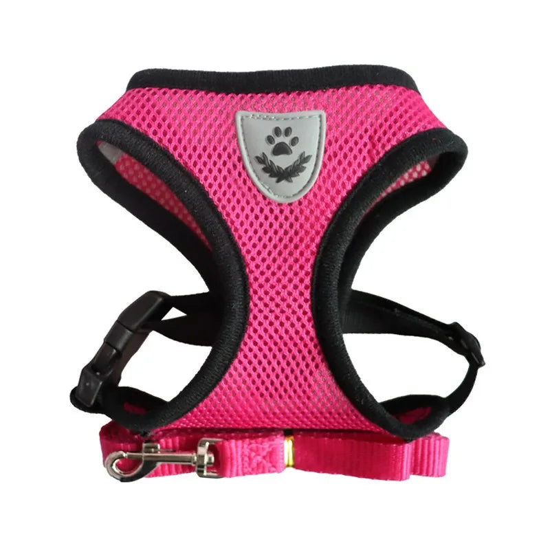 Soft Kitten Harness & Leash – No More Escapes, Just Safe Adventures!