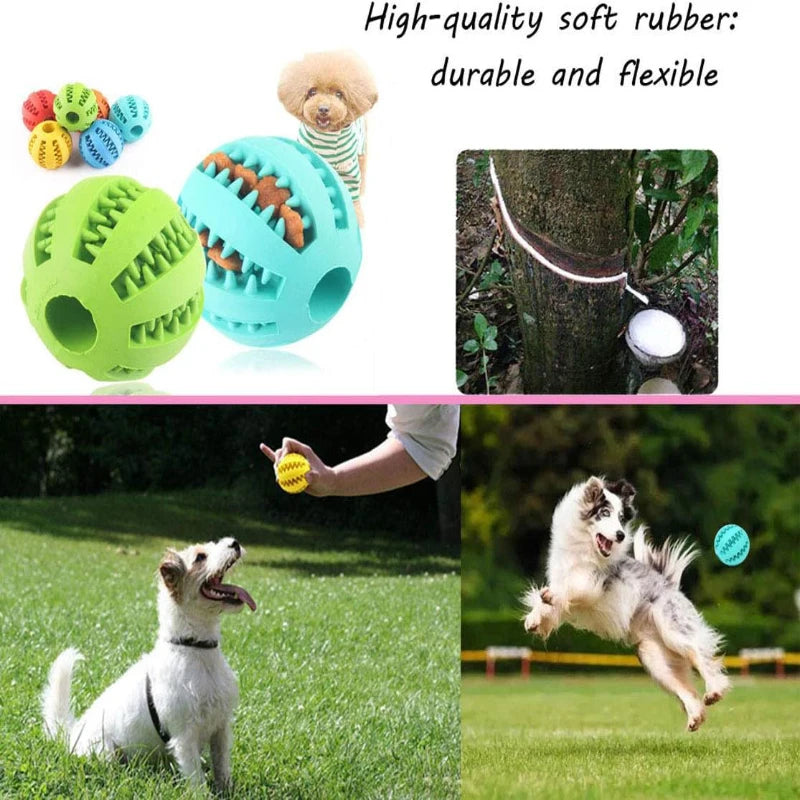 Interactive Chew and Treat Ball