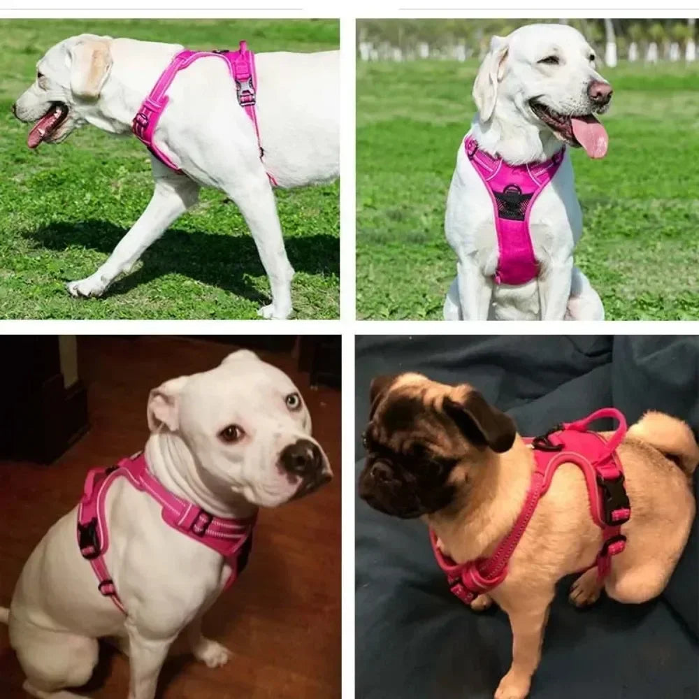 Chest Strap Dog Harness