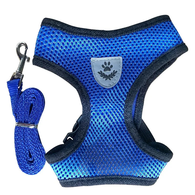 Soft Kitten Harness & Leash – No More Escapes, Just Safe Adventures!