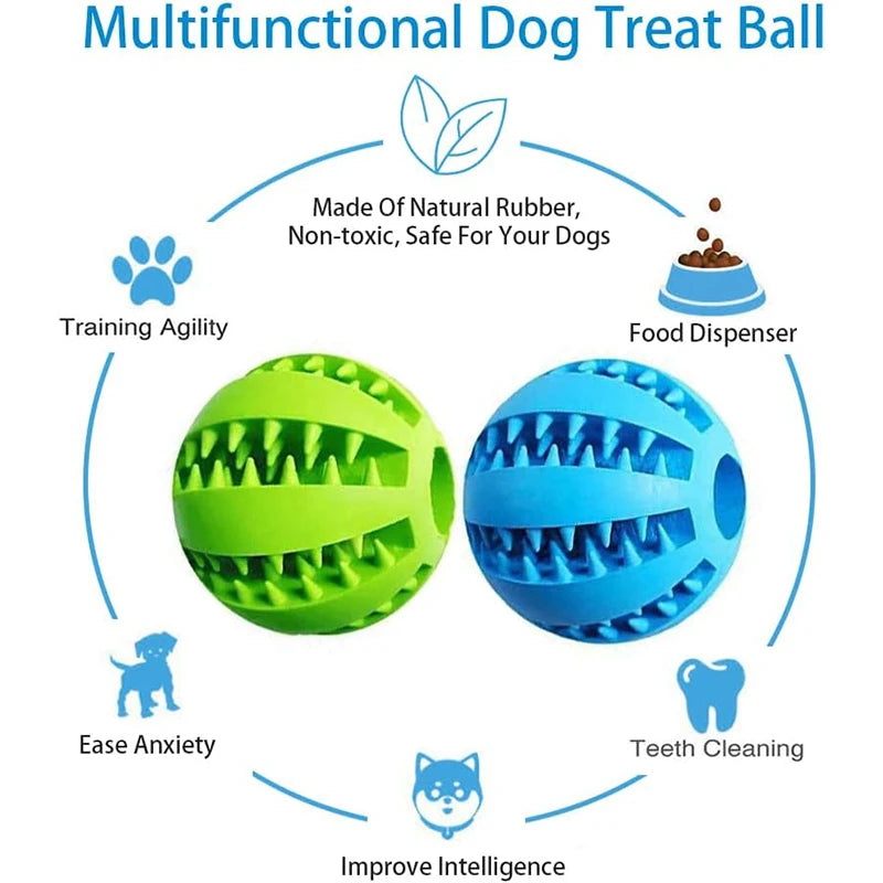 Interactive Chew and Treat Ball