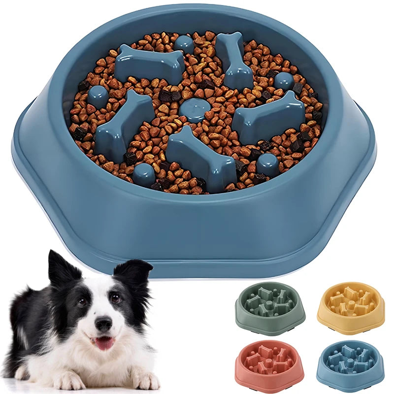 Comedero lento para perros