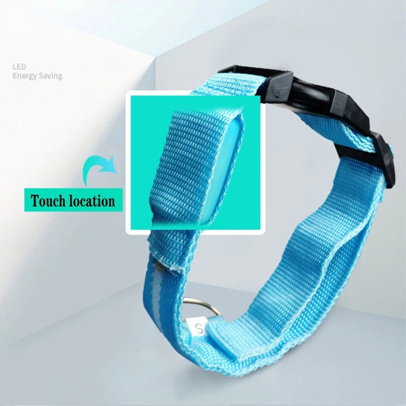 LED Dog Collar