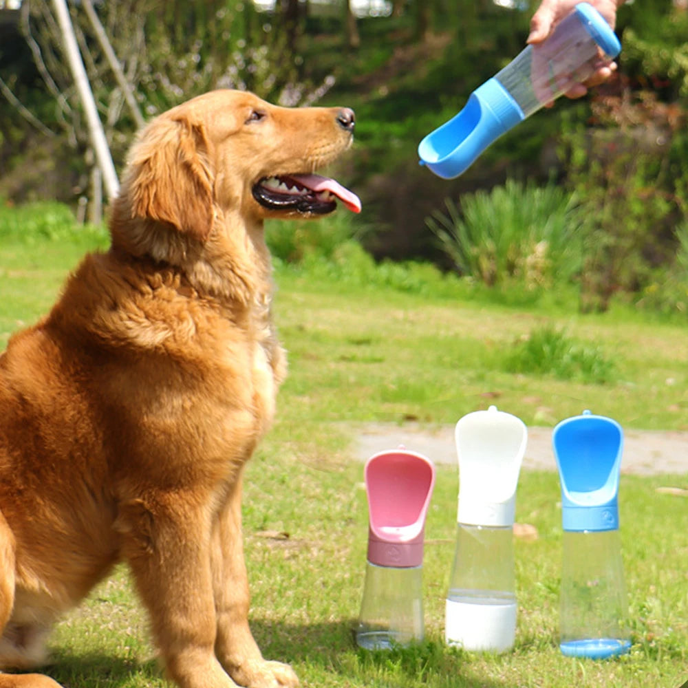 Portable Water Bottle