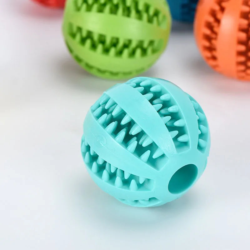Interactive Chew and Treat Ball