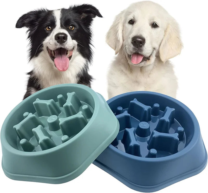 Comedero lento para perros