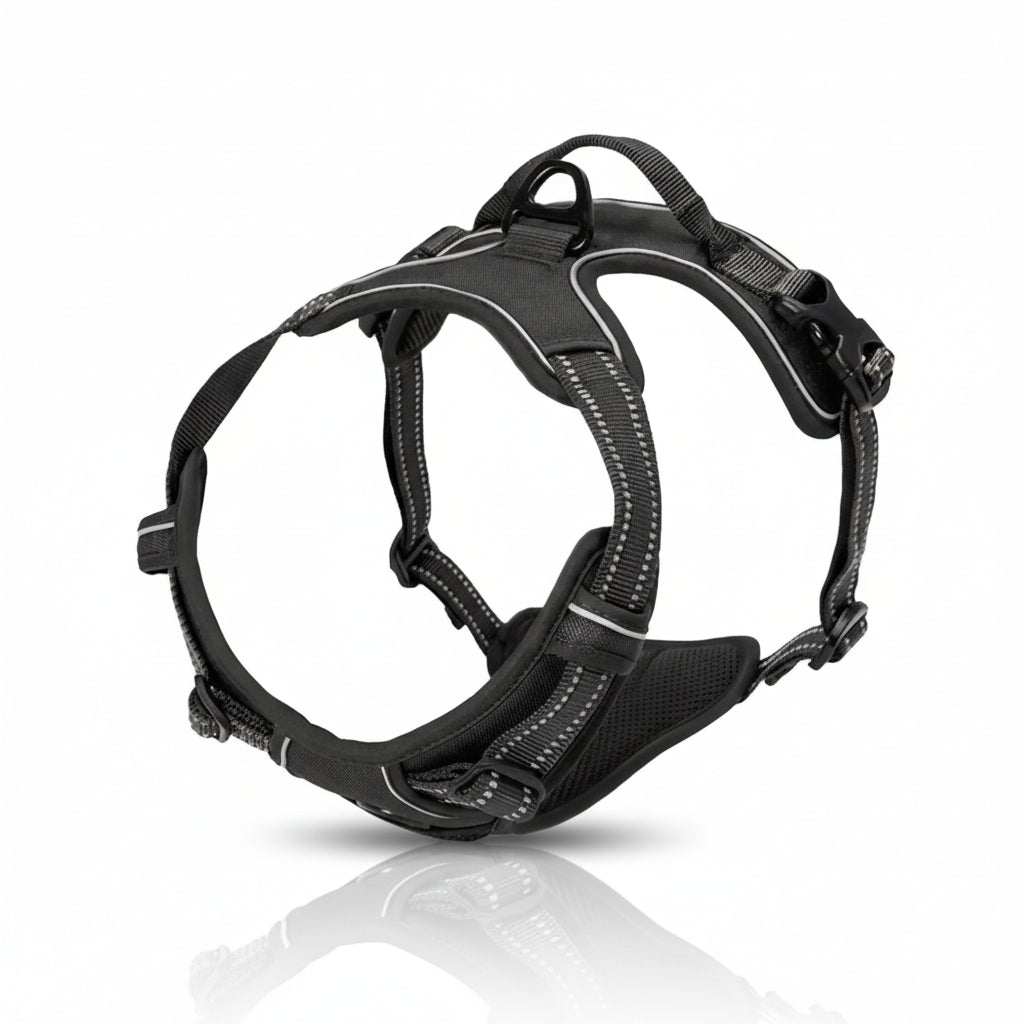 Chest Strap Dog Harness