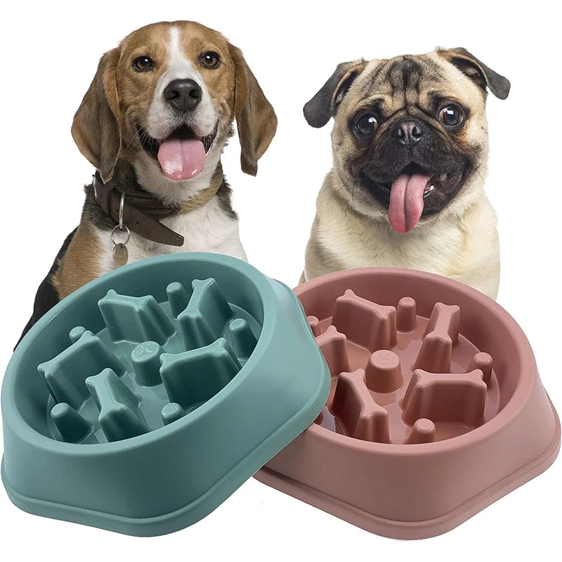 Comedero lento para perros