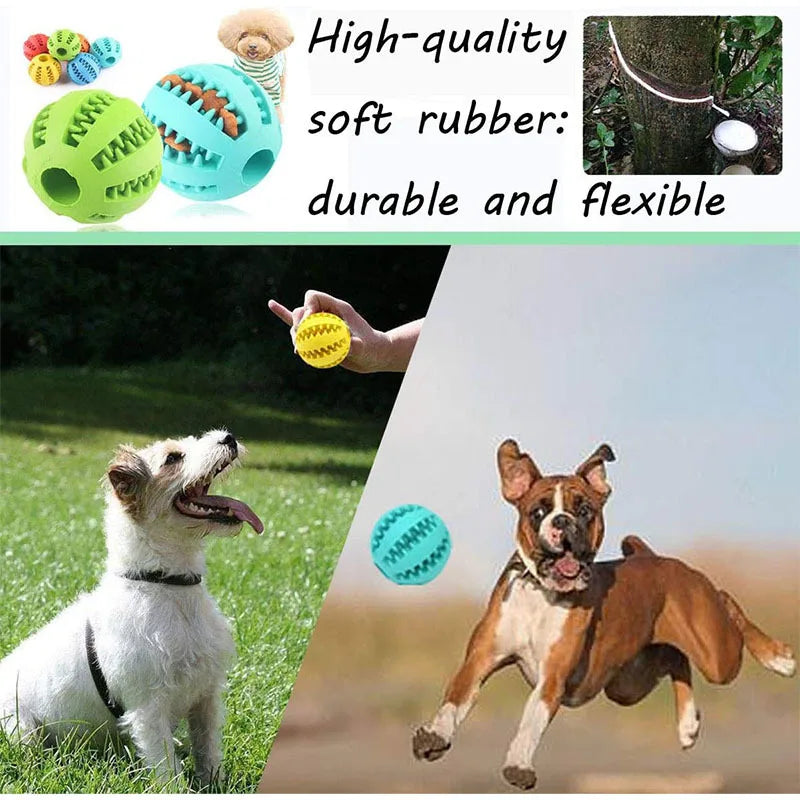 Interactive Chew and Treat Ball