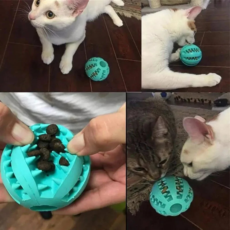 Interactive Chew and Treat Ball